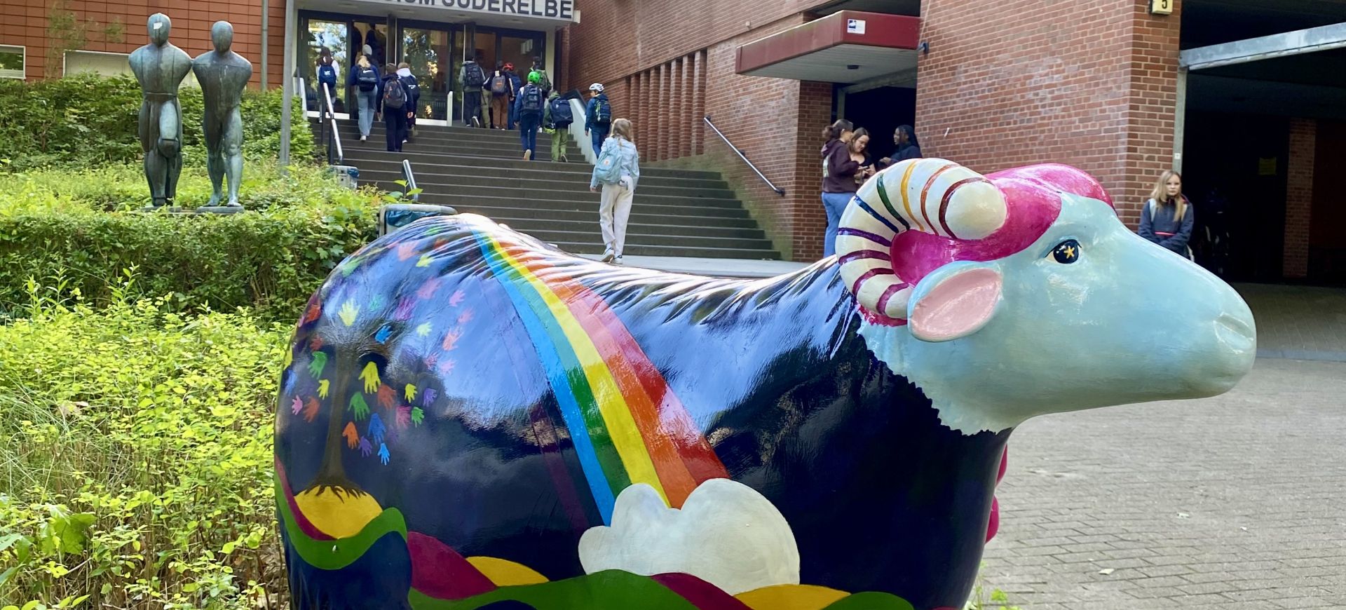 Heidschnucke Heidschnucke