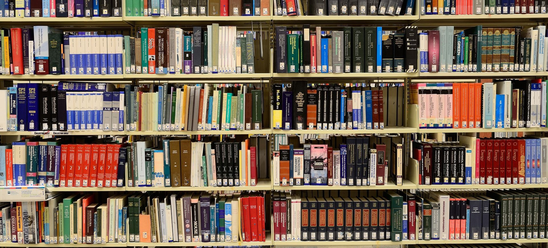 Bücherwand Bücherwand